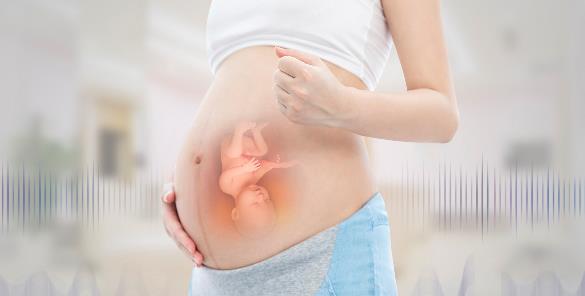 试管婴儿什么时候进周主要与女性月经周期有关